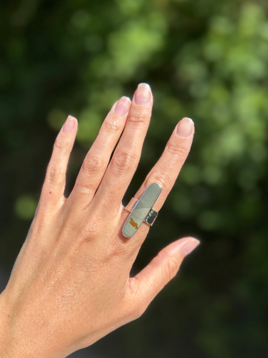 Owyhee Jasper Bar Ring on Wide Hammered Band