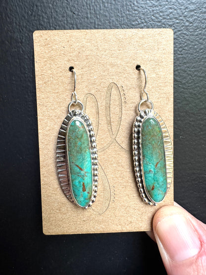 Royston Turquoise Long Earrings